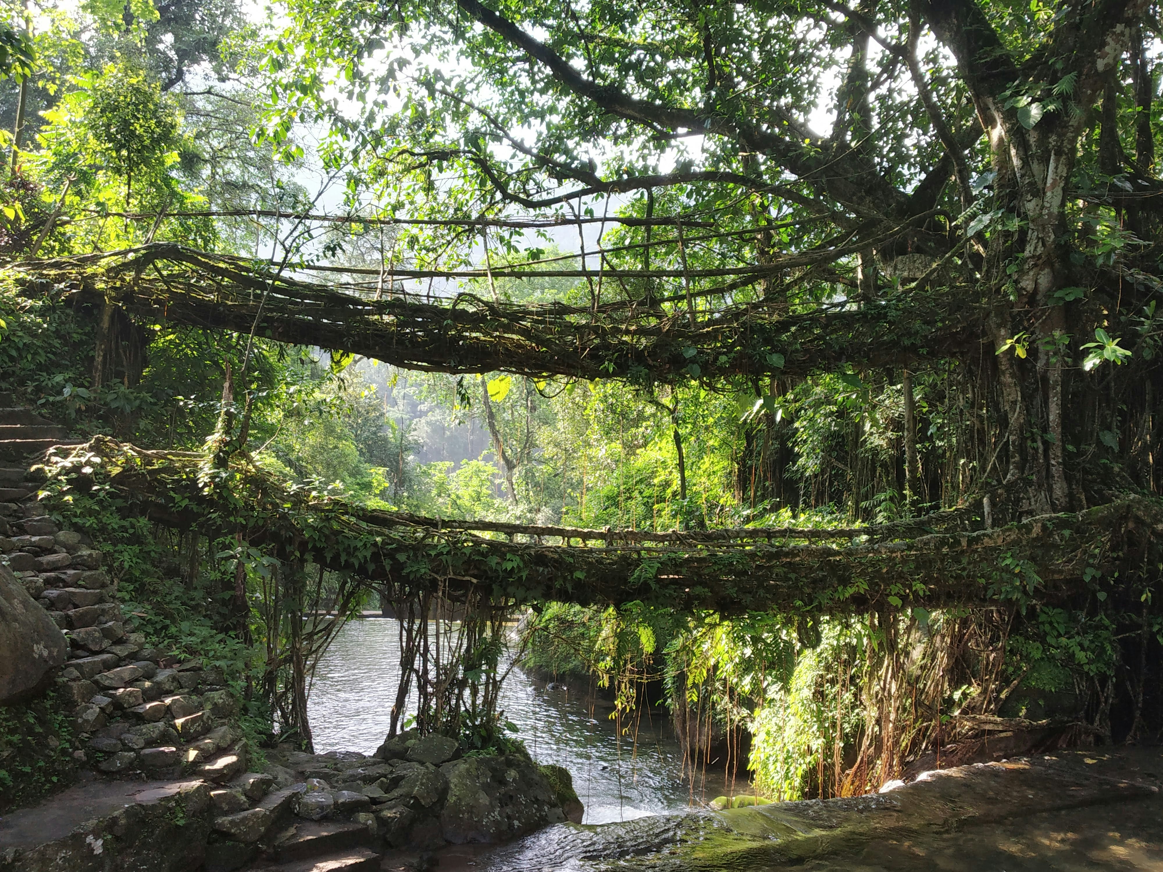 Cherrapunji Waterfalls