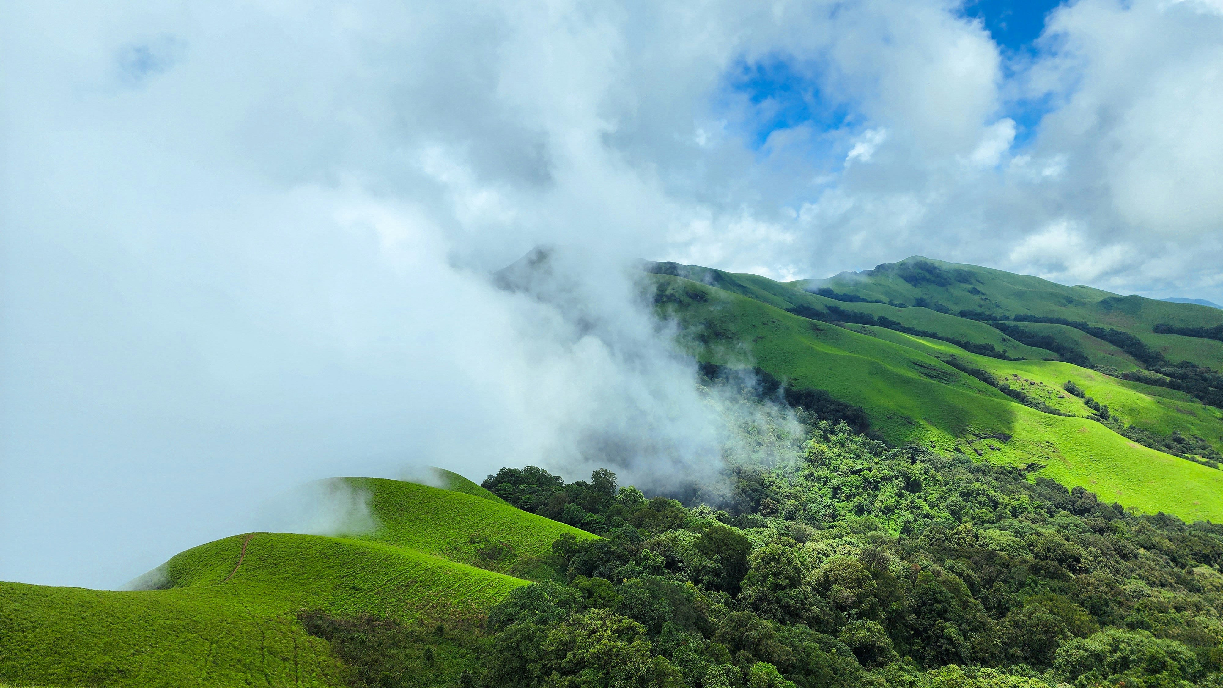 Chikkamagaluru Premium